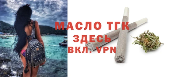 мяу мяу мука Гусь-Хрустальный