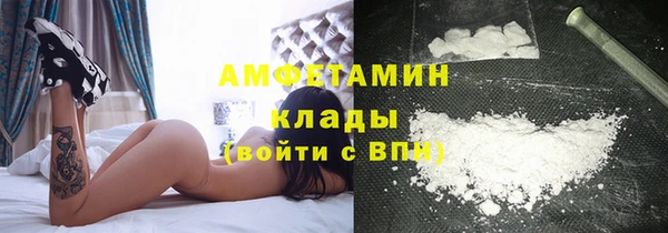 мяу мяу мука Гусь-Хрустальный