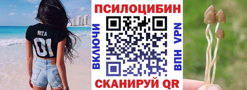 Купить где  Багратионовск  Псилоцибиновые грибы прущие грибы 